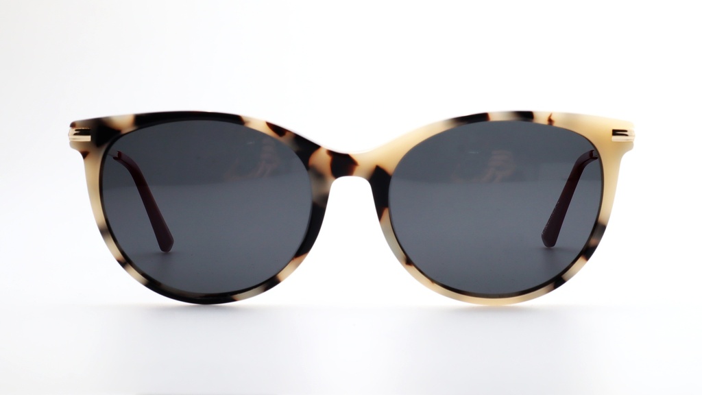 Lentes de Sol Lenso Panorama LO520C2