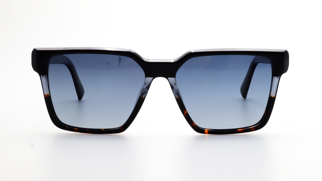 Lentes de Sol Lenso Panorama LO529C1