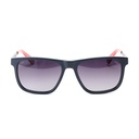 Lentes de Sol OAHU SOL DINO C03