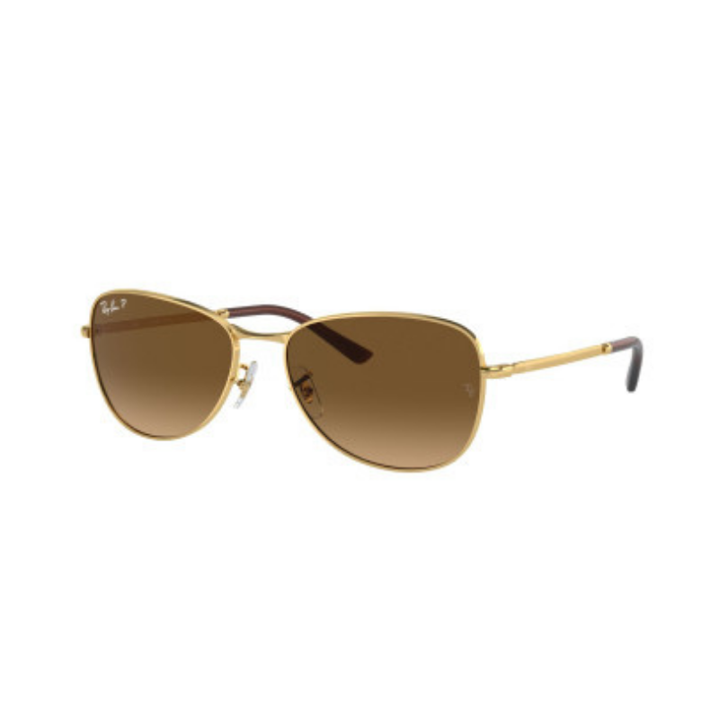 Lentes de Sol Ray Ban 3733 001/M2
