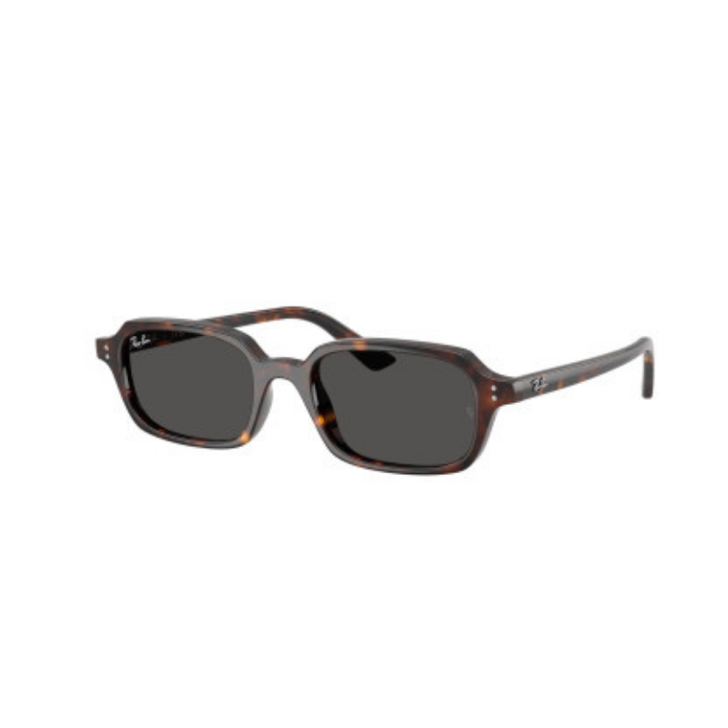 Lentes de Sol Ray Ban 4455 1359/87