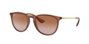 Lentes de Sol Ray Ban