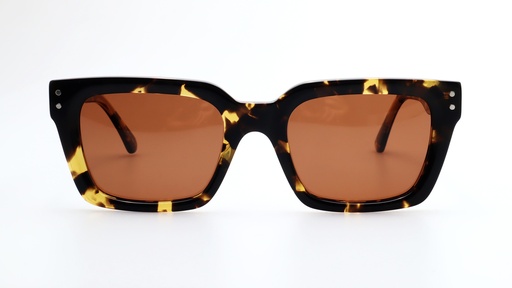 [LO511C2] Lentes de Sol Lenso Panorama LO511C2