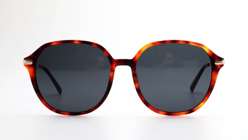 [LO523C2] Lentes de Sol Lenso Panorama LO523C2