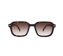 Lentes de Sol Loup LPS1324C2 1