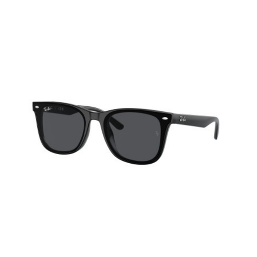 [RB44206018765] Lentes de Sol Ray Ban 4420 601/87